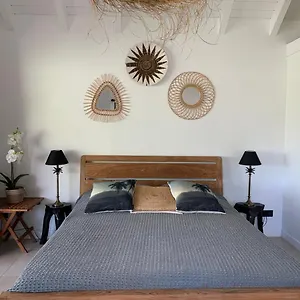 Palm St. Barthelemy